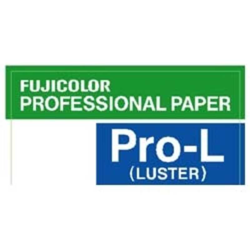 富士フイルム　FUJIFILM　カラー印画紙フジカラープロフェッショナルペーパー(六切ラスター100枚入り)　CLP PRO L 6 100その他カメラ用アクセサリー