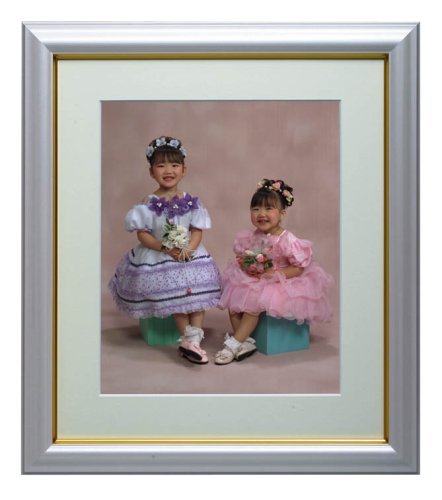 HAKUBA 高級木製額縁 FW1218 全紙 パールピンク FW1218-Z-P