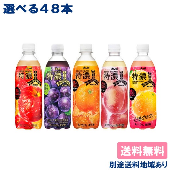アサヒ 三ツ矢 特濃フルーツスカッシュ PET 500ml 選べる2ケースセット 48本（ 24本入 x 2ケース ） 送料無料 別途送料地域あり ［ピーチ / アップル / グレープ/ オレンジ］