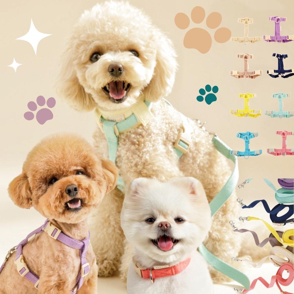 犬 ハーネスリード 首輪 散歩セット 韓国製造 ハンドメイド 新開発首輪 ２WAYバングルハーネス初新登場 ８カラー 散歩グッズ