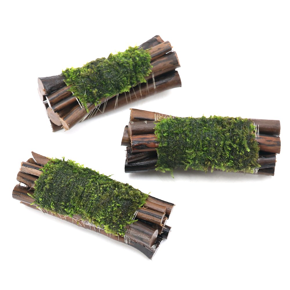 （水草）巻きたて　南米ウィローモス　エビ長屋（水中葉）（無農薬）（３個）　北海道・九州航空便要保温　ＣＲＣ12―18―20―80―00