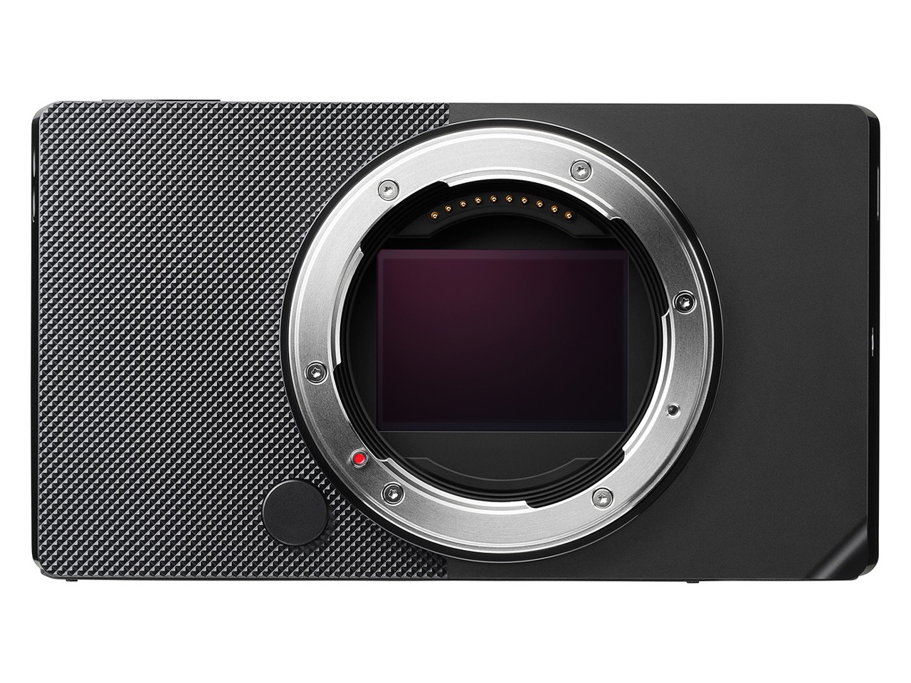 シグマ Sigma BF ボディ [ブラック] 国内版新品