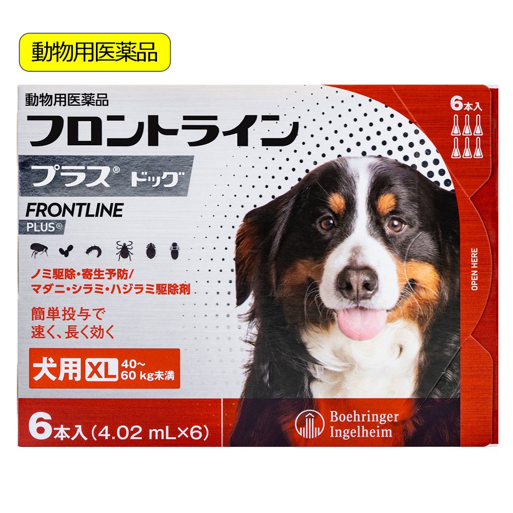 動物用医薬品　ドッグ　ＸＬ　６本　動物用医薬品　ＣＲＣ40―81―00―00―00 8,227円