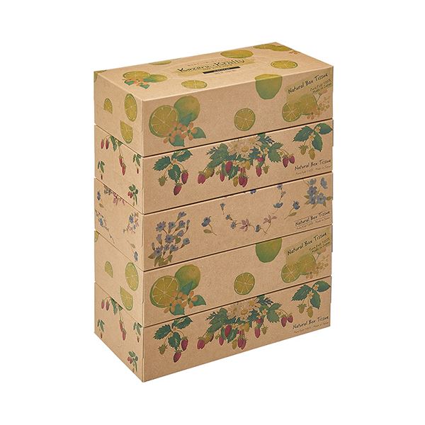 （まとめ）カミ商事 エルモアティシューKazaruKrafty ナチュラル 180組/箱 1パック（5箱）(×10セット)