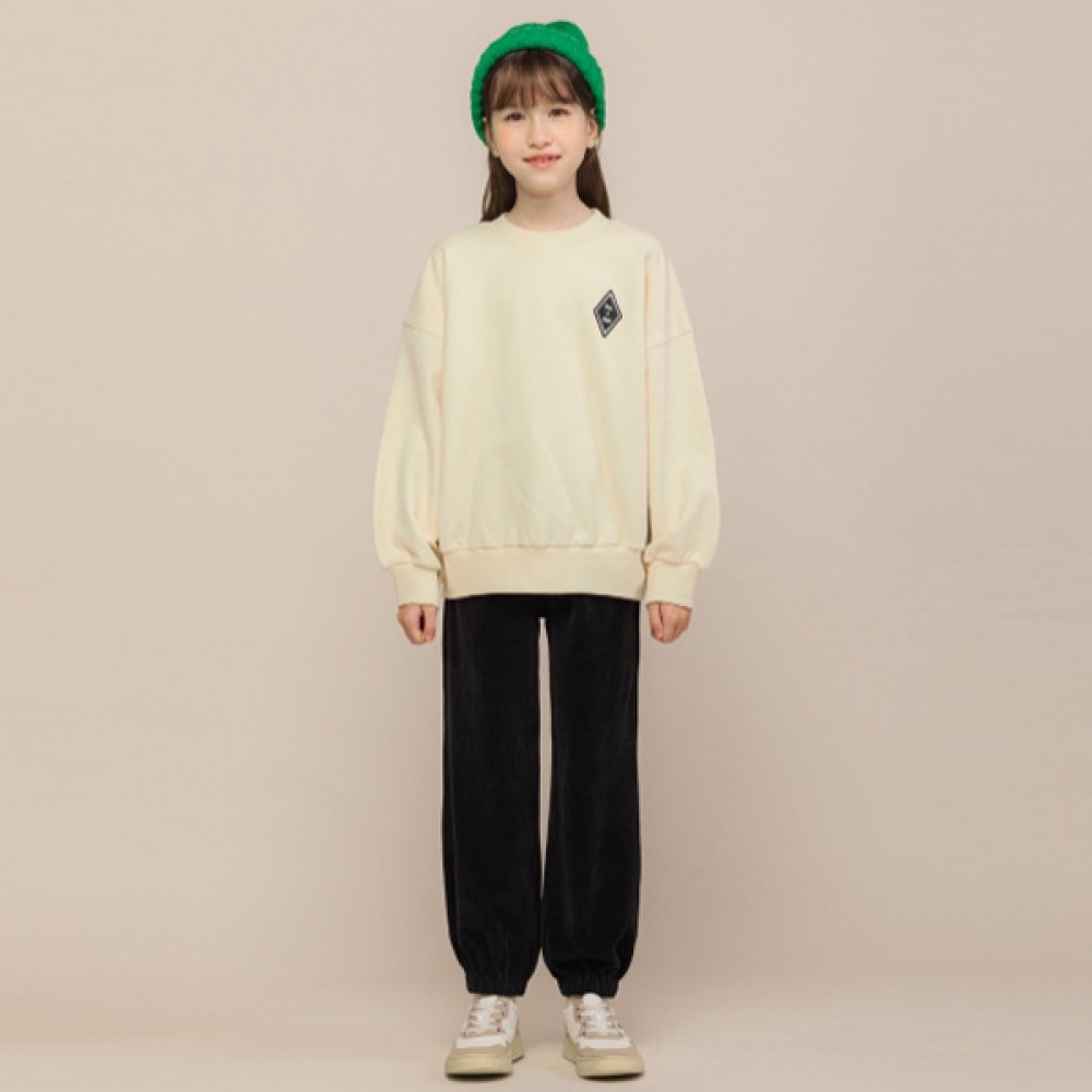 アイラブジェイ A.ドロイ メンズトレーナー JVWTO84