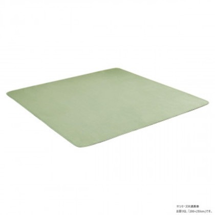 ピオニー2 フランネル 無地ラグ 200×250cm スカイグリーン 1380000025945