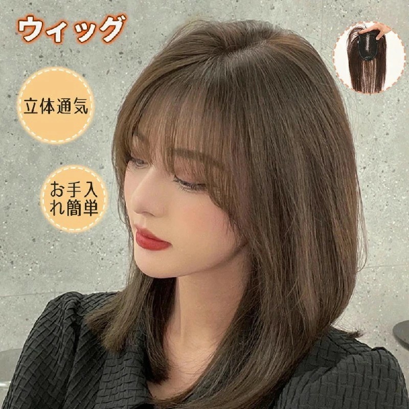 発売特典部分かつら 人毛100パーセント 頭頂部カバー ヘアピース ボリュームアップ 分け目付き 薄毛隠し 白髪隠し 自然 リアル人工頭皮仕様 女性用 増毛 つけ毛 ウィッグスタンド付き