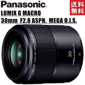 LUMIX G MACRO 30mm F2.8 H-HS030 単焦点 マクロレンズ ミラーレス一眼 カメラ 中古