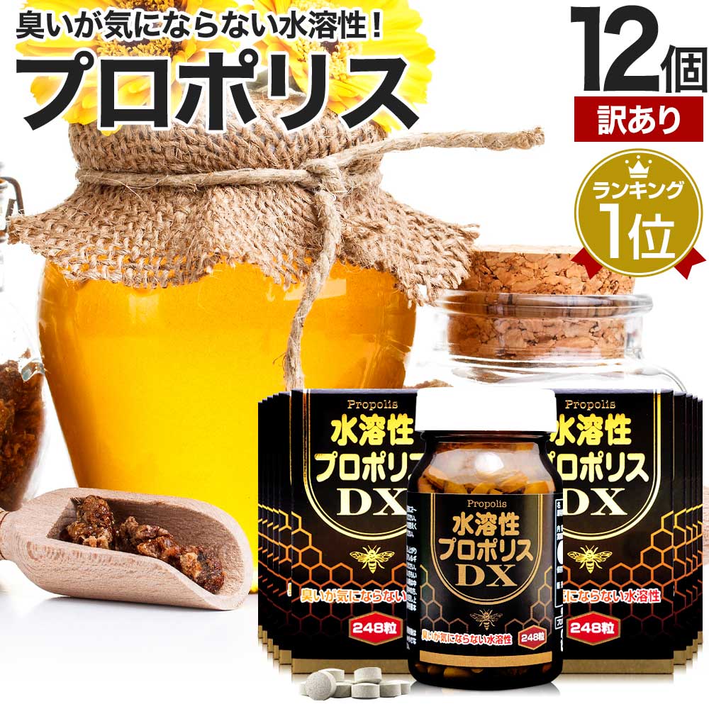 訳あり 水溶性プロポリスDX粒 248粒*12個 約324-372日分 賞味期限2026年4月のみ サプリメント サプリ