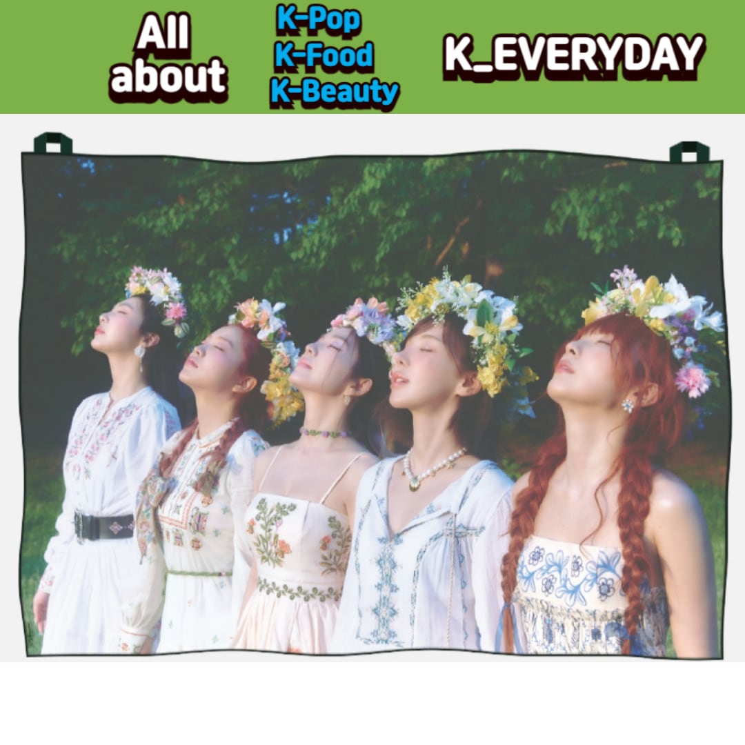Red Velvet - Chiffon Fabric Poster_Cosmic MD 並行輸入純正品
