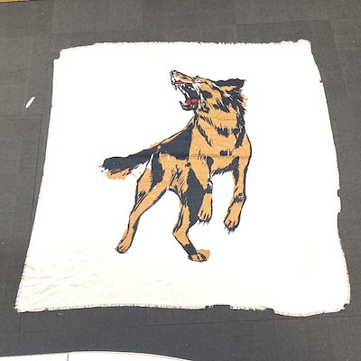 バリー・ボンズ直筆サイン入りボール ケース ボンズジャージカード