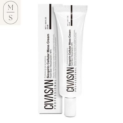 風炉先屏風 曳舟 両面開き 花押 在銘 茶道具 茶道 屏風 紙箱 【公式通販】