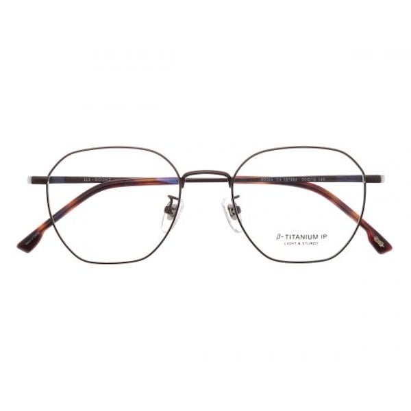 ALO EYEWEAR AR8008A C4 ポリゴンベータチタンIPコーティングメガネ