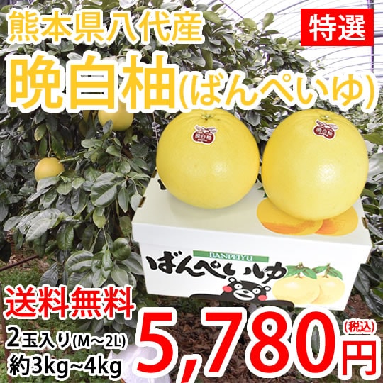 晩白柚 ばんぺいゆ 熊本県八代産 特選 約3kg-4kg 2玉入 M-2Lサイズ みかん 蜜柑