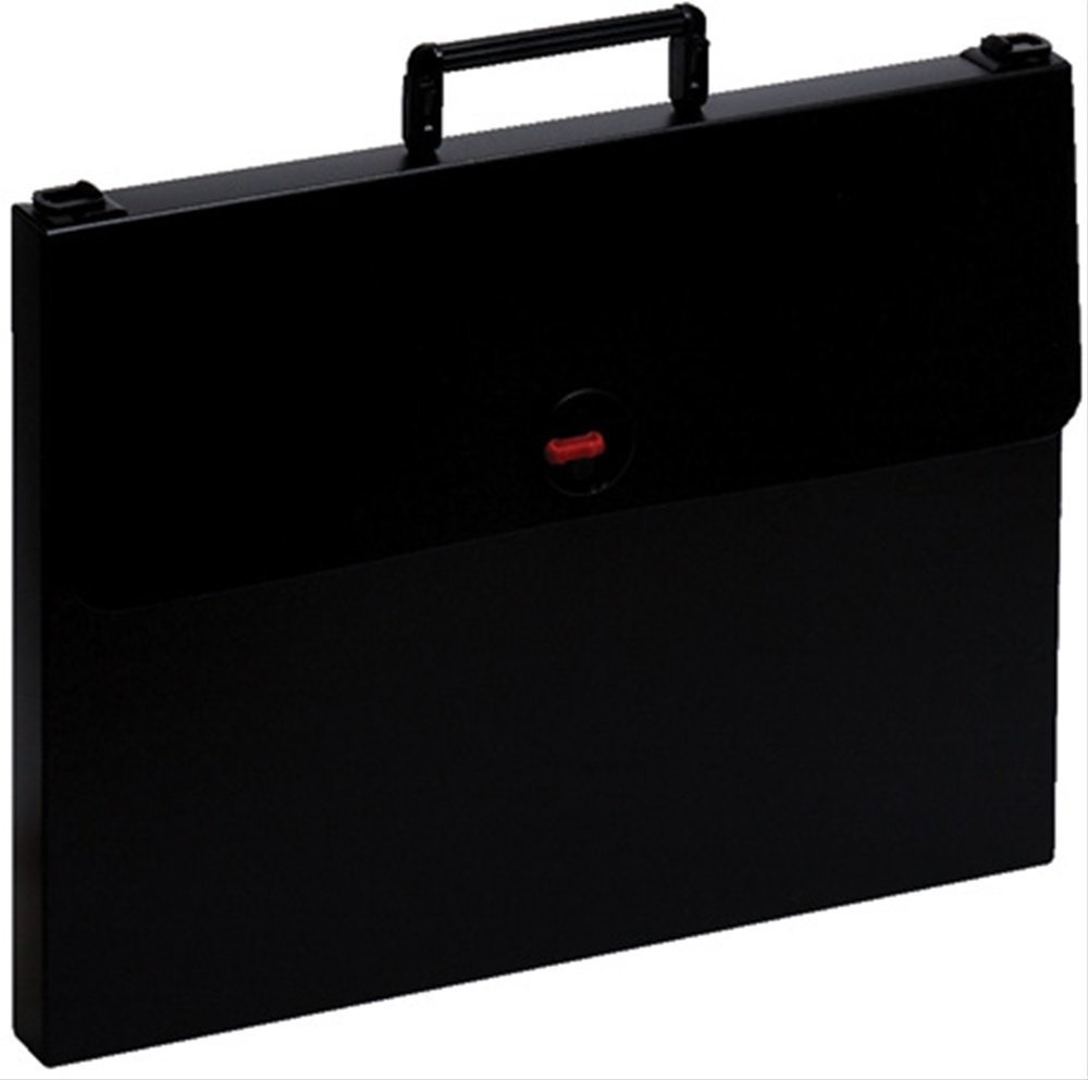 （まとめ買い）デザイナーズケース A3 黒 3243クロ [x3]