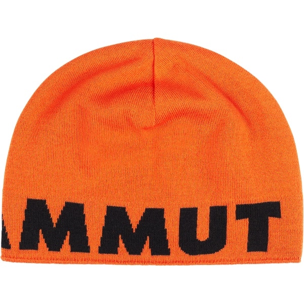 MAMMUT マムート Mammut Logo Beanie アウトドア ニットキャップ 119104892-2290