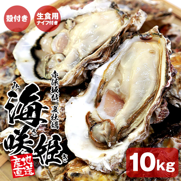 兵庫県産 坂越 夏 殻付き 牡蠣 生食用 海咲姫 みさき 約 10kg 岩牡蠣 殻付き岩牡蠣 生牡蠣 生 生食 BBQ バーベキュー 焼きガキ カキフライ お取り寄せ 取り寄せ 殻つき 産地直送