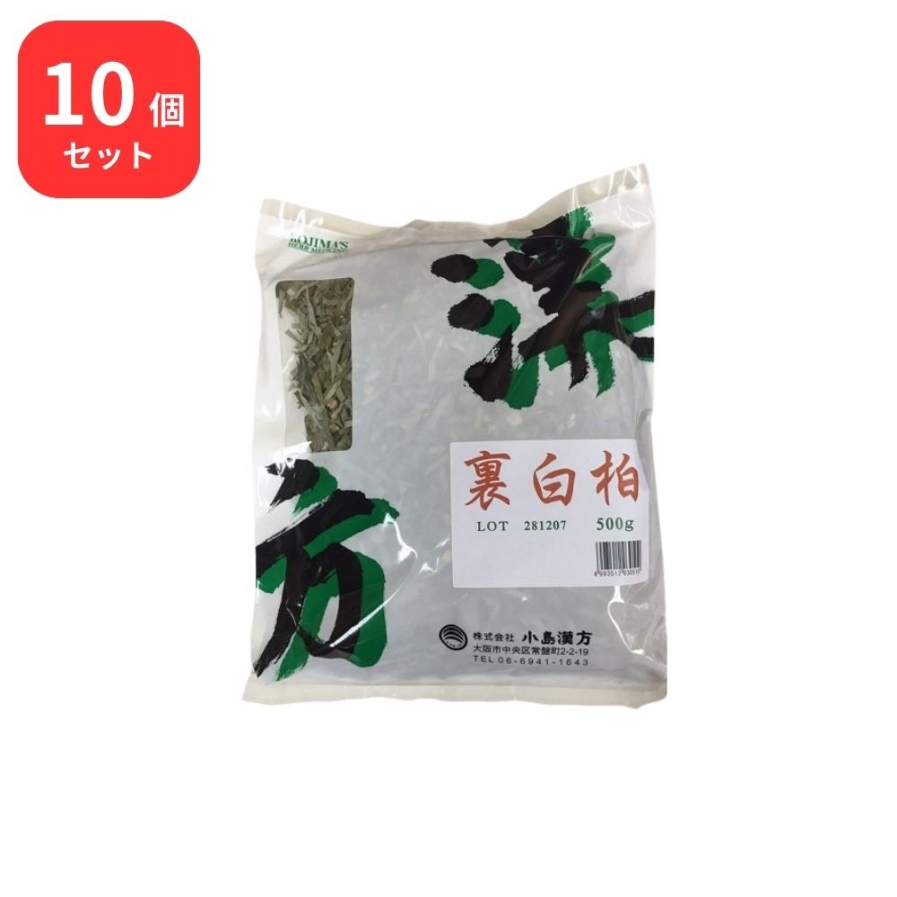 【10個セット】 小島漢方 裏白樫 ウラジロガシ 刻 500g