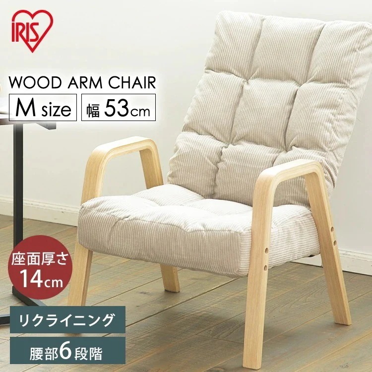 中央可鍛工業 レクチェ 可動肘 NC-B 1セット 〔チェア別売〕(代引不可) たのめーる中央可鍛工業 レクチェRチェア用可動肘 NC-B-C 1セットの通販