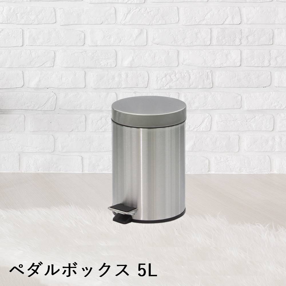 【 法人限定 】 ステンレス製 ペダルボックス 5L DS-238-505-0 TERAMOTO テラモト