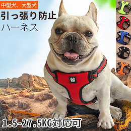 Qoo10 ハーネスリード胴輪犬のおすすめ商品リスト Qランキング順 ハーネスリード胴輪犬買うならお得なネット通販