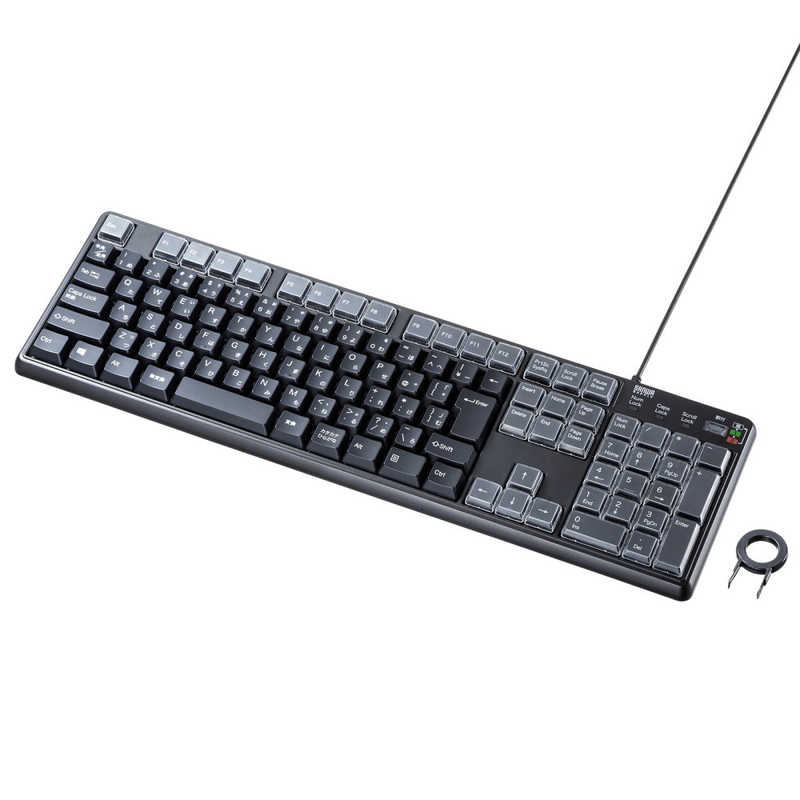 サンワサプライ　キーボード プログラマブル(Windows11対応) ［有線 /USB］　SKB-P1BK