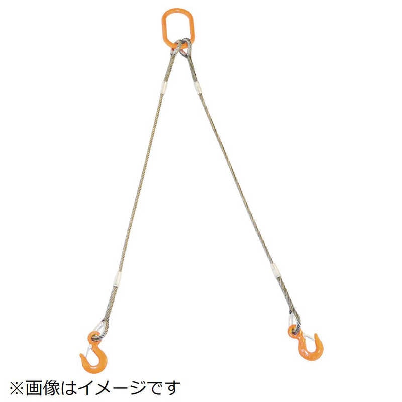 トラスコ中山　TRUSCO 2本吊りWスリング フック付き 12mmX2m　GRE-2P-12S2