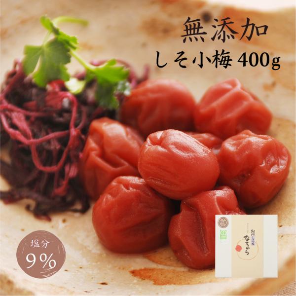 梅干し 無添加 減塩 しそ 昔ながら 紀州 小梅干 なちゅら 塩分9% 800g しそ梅干し しそ漬け 岩惣