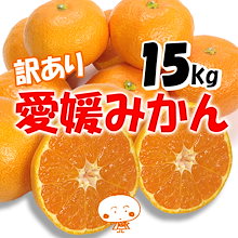 【超お買い得】愛媛県産　愛媛みかん 15ｋｇ 補償有