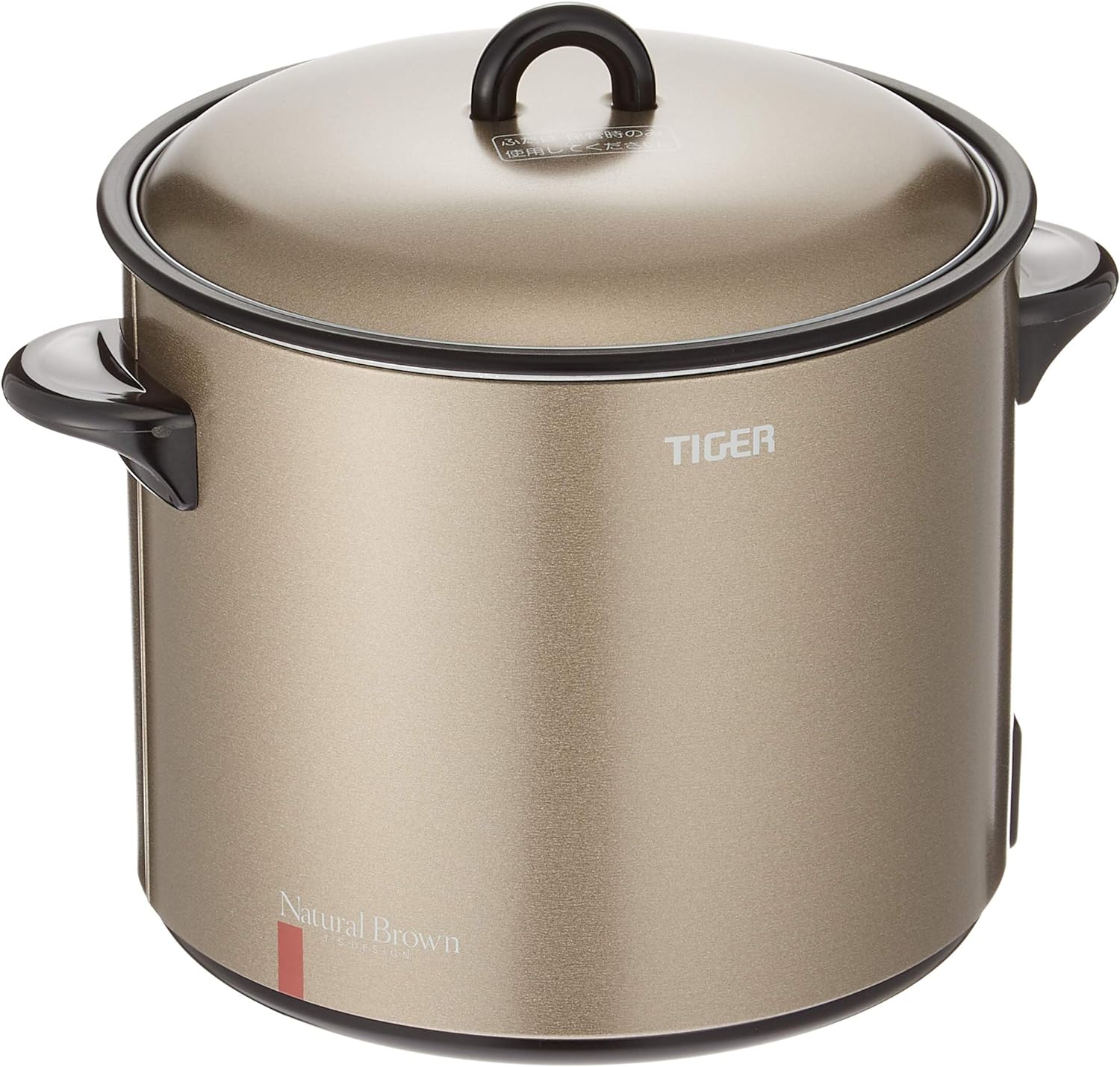 タイガー 電気フライヤー「はやあげ」CFE-A100-T