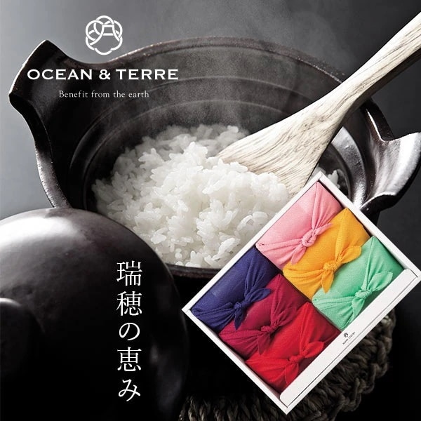 オーシャンテール TSUTSUMI 瑞穂の恵みE A660 OCEAN＆TERRE OTVL8 贈って喜ばれる食品ギフ ト詰め合わせ 内祝い お中元 お歳暮 r8b