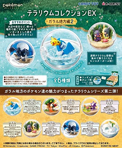 リーメント テラリウムコレクションＥＸ*ガラル地方編２* 6個入り食玩ガム(ポケットモンスター)