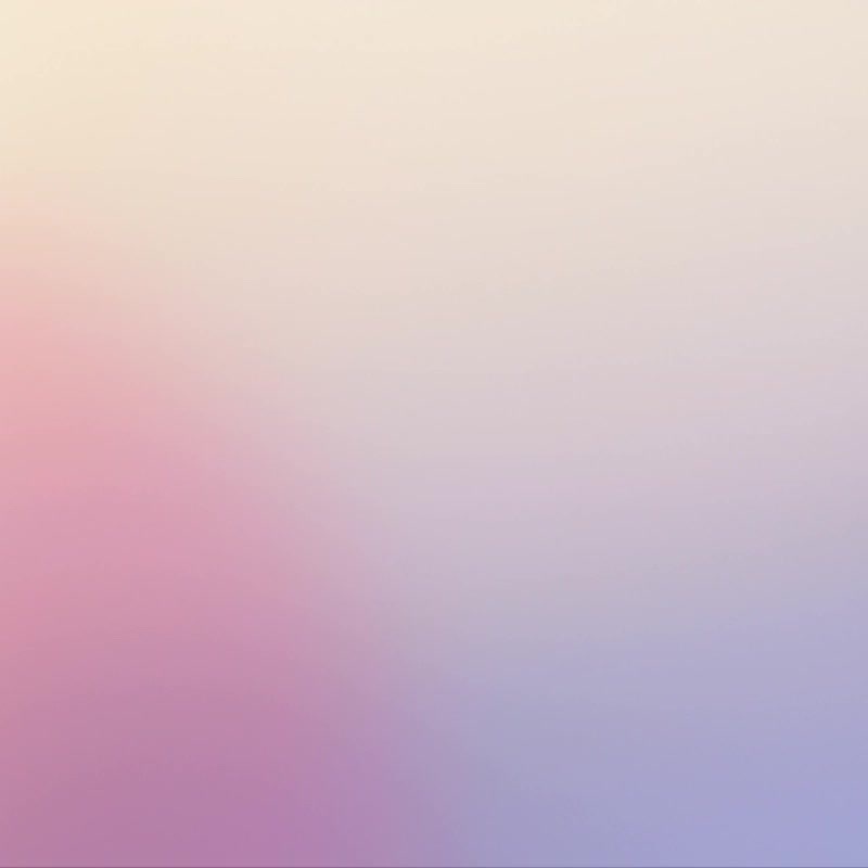 09-1112-14に適していますトヨタハイランダーバンパーフロントおよびリアガードバーハイランダー