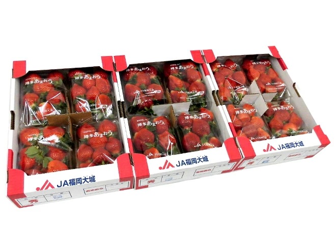 福岡産 博多 =あまおういちご= 訳あり 約270g x4パック x3箱 予約 12月以降