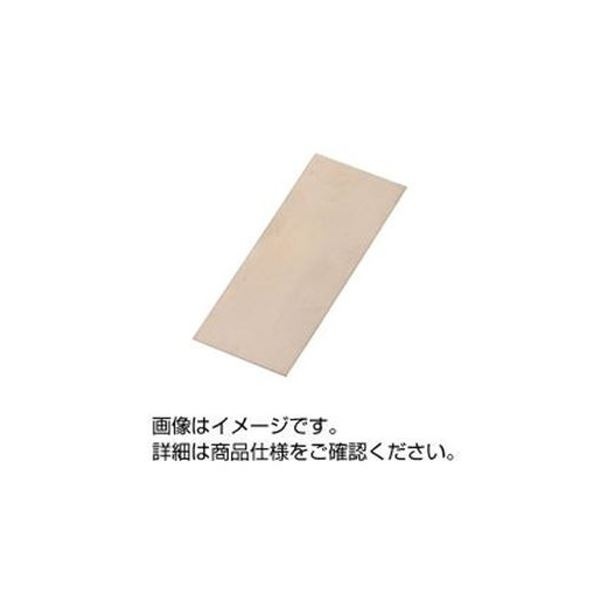 （まとめ）実験用金属板 ニッケル板50×60mm ターミナル無し B-28 (×10セット)