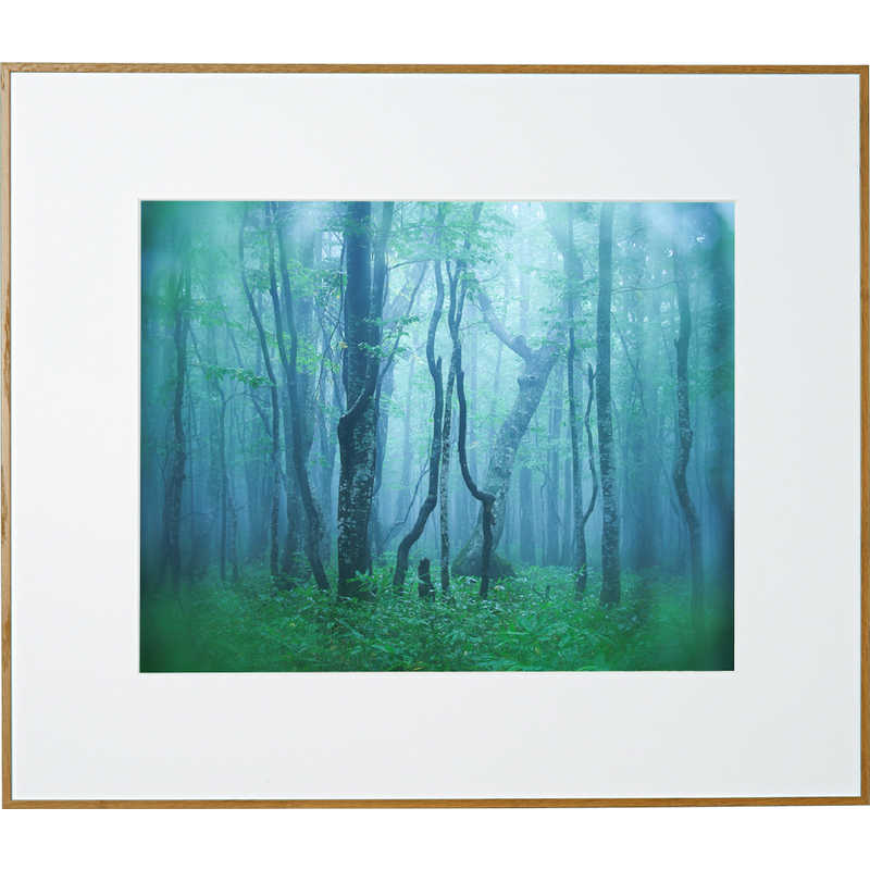 ケンコー　ギャラリー 半切 ナチュラル　AGY-H-NA