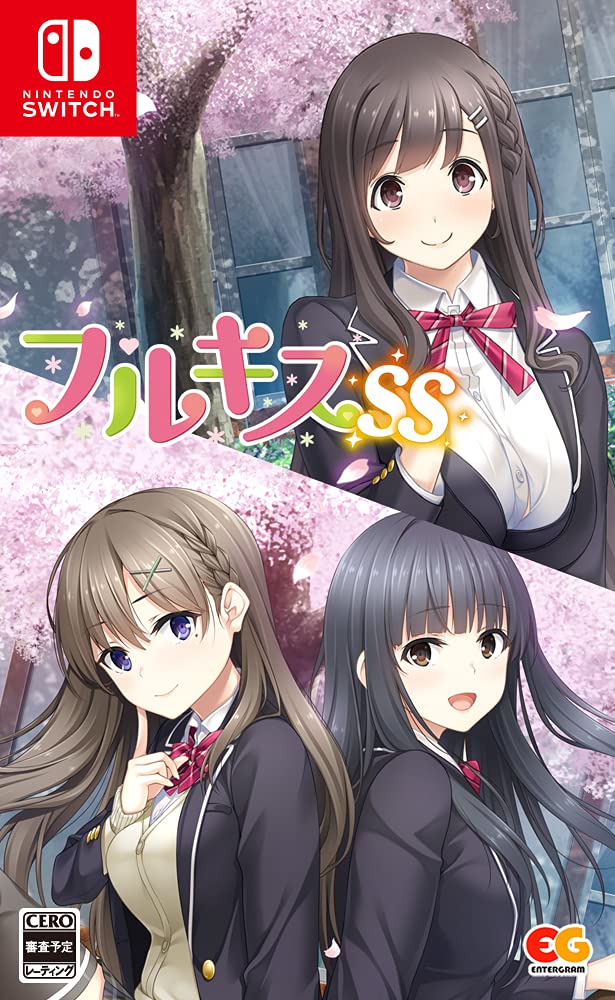 全国送料無料 フルキスSS - Switch