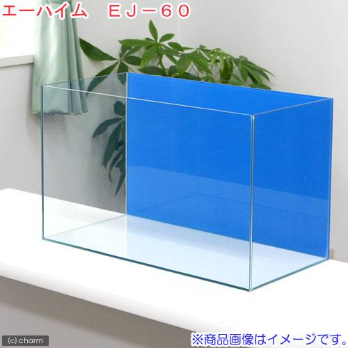バックスクリーン貼付済　エーハイム　ＥＪ－６０　水槽　アクアブルー（６０X３０X３６ｃｍ）（単体）お一人様１点限り　ＣＲＣ10―11―01―50―00