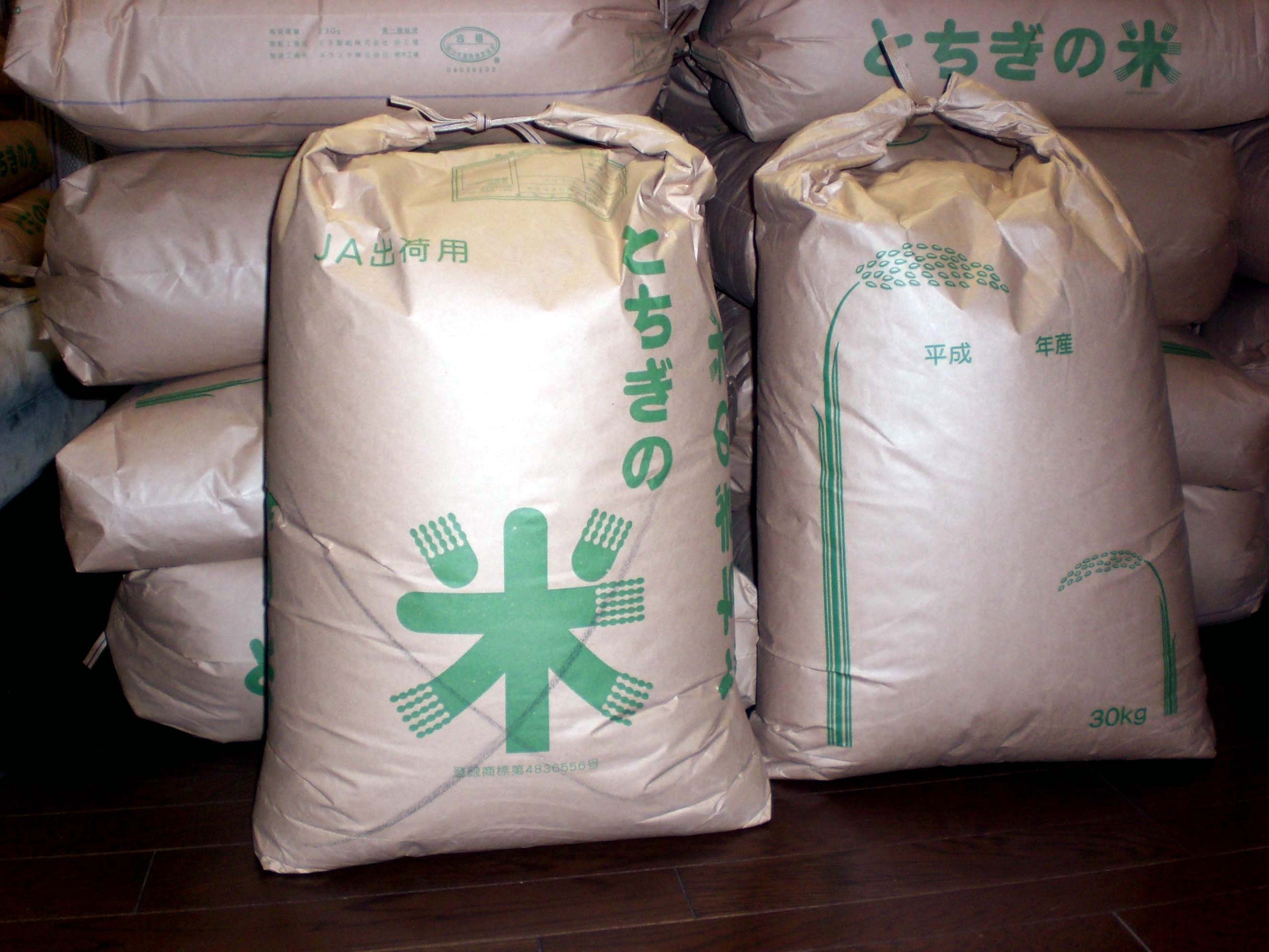 栃木米コシヒカリ（R7年産）玄米３０ｋｇ(農家直送の自家米)精米無料サービス