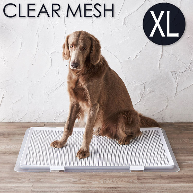 ボンビアルコン ペットレー クリアメッシュ XL 約94×64cm スーパーワイドサイズ対応 薄型 低床式 トイレ 犬用トイレ 半透明 クリア 中型犬 大型犬 多頭飼い ボンビ