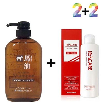 真作】絵画 藤木一郎 油彩6号 初秋の湖水 自然美が輝く一枚 U155