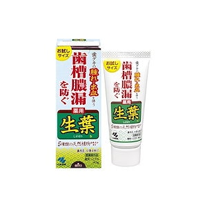 【即日発送】生葉(しょうよう) お試しサイズ 歯槽膿漏を防ぐ 薬用ハミガキ 和漢ハーブの香味 40g 【医薬部外品】