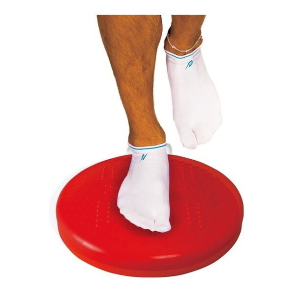 バランスディスク2 F 960 NT5875 7,857円