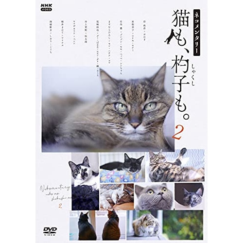 ネコメンタリー 猫も杓子も2 (DVD) NSDS-25209