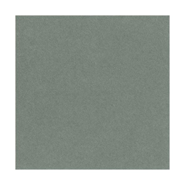 （まとめ）リンテック ニューカラーR 四つ切 くらいはいいろ 4NCR-219 100枚[x5]