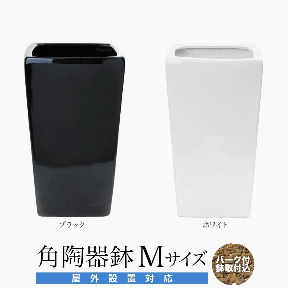 アークオリジナル 角陶器鉢 Mサイズ バーク付 屋外設置対応