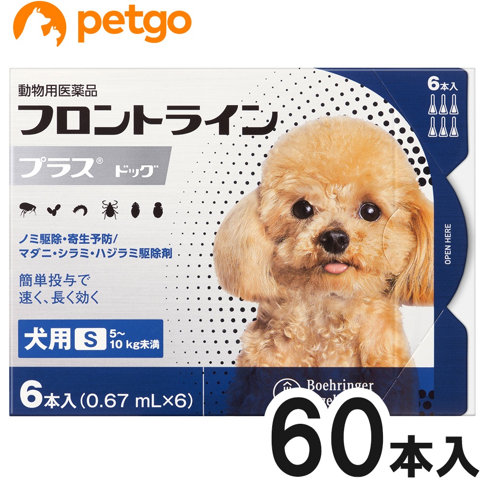 【10箱セット】犬用フロントラインプラスドッグS 5～10kg 6本（6ピペット）（動物用医薬品）