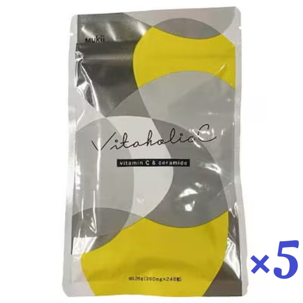 Vitaholic C ビタホリックC 248粒 5袋セットせ ビタミン ビタミンC サプリ