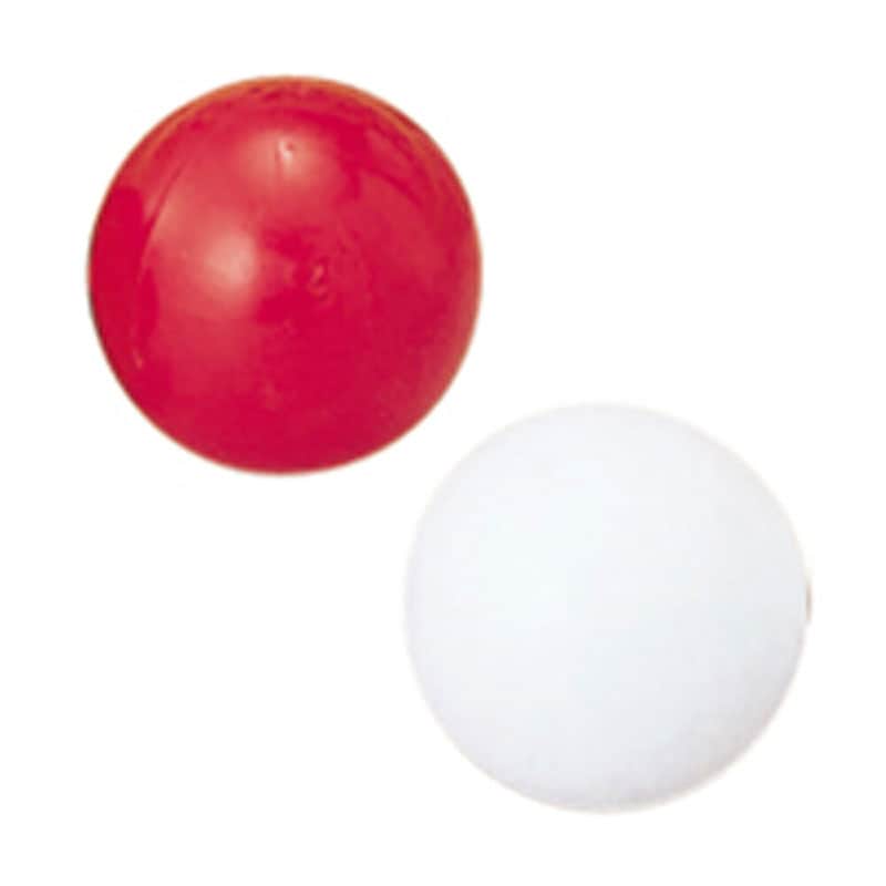 SUNLUCKY(サンラッキー) スペアボール ニュースポーツ 施設備品 (BN2)