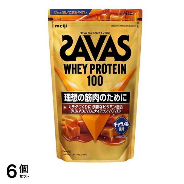 ホエイプロテイン100 キャラメル風味 450g 6個セット